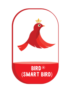 Bird Smrt Bird - Tiếng Anh trẻ em (13-17 tuổi)